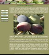 www.aceitunasecologicas.es - Las aceitunas ecológicas están en el umbral de los productos de calidad españoles el olivar ecológico ensalza la tradición olivarera española de