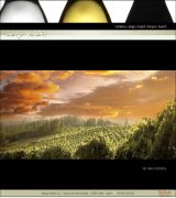 www.adegavaldes.com - La bodega posee unas instalaciones de reciente creación 2001 dotadas de la última tecnología vitivinícola que proporcionan unos excelentes product