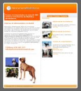 www.adiestramientomadrid.com - Empresa especializada en el adiestramiento canino a domicilio en todos sus niveles