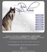 www.alaskanmalamutes.es - Guía completa de la raza para saber todo de ella antes de adquirir un cachorro obien para resolver tus dudas fotos foros enlaces interesantes salud c