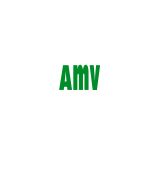 www.amv.es - La solución al seguro de tu moto solicita presupuesto y contrata el seguro de tu moto on line