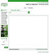 www.andaluciaimagen.com - Agencia fotográfica que gestiona el banco de imágenes de andalucía tienda en línea con fotos profesionales sobre la región de diferentes autores 