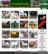 www.animalesgrandes.com.ar - Venta y anuncios de animales grandes equinos y bovinos inmuebles rurales con aptitud en ganadería foro de consultas y empleos veterinarios