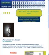 www.baldobino.cl.kz - Agencia de investigadores privados chile infidelidades hurtos robos siniestros y mucho màs