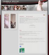 www.candelasphynx.com - Pequeño y exclusivo criadero familiar dedicado a la selección y mejora del gato sphynx