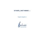 www.carracedoyboschabogados.com - Prestación de los servicios propios de la abogacía bajo la formula denominada de “despacho colectivo”