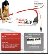 www.consiste.es - Empresa dedicada a la consultoría informática y a la creación de imagen corporativa