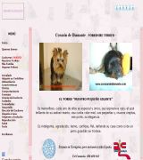 www.corazondediamante.com - Nuestra página web está dedicada únicamente al yorkshire terrier en ella encontrará cachorros disponibles semental para montas productos específi