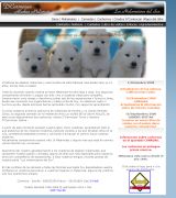 www.dcarmocan.es - Criadores de alaskan malamute cachorros fotografàas pedigrees consejos cuidados en educación y mas