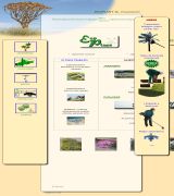 www.ecoplant.es - Servicios de jardineria y paisajismo obras proyectos diseños y mantenimiento de jardinessistemas de riego