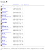 www.espectaculosdaex.es - Organiza las despedidas de solteras más divertidas y originales boys espectaculares y gogos