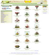 www.florprimavera.com - Envio disponible vía internet a todas partes del mundo. flores para toda ocasión.