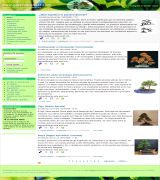 www.galeriabonsai.com - Página web dedicada al mundo del bonsai puedes consultar fichas por especie estilos de bonsai foro y galería de bonsais