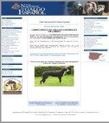 www.galgoes.com - Información sobre la raza galgo español campeonatos concursos raza sementales crianza asesoramiento veterinario alimentación prepareción fisica et