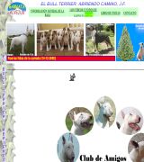 www.garnataalvejud.com - Conocimientos básicos y obligados para todo aficionado al bull terrier