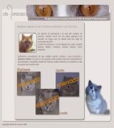 www.gatoweb.com - Criadero familiar de gatos de raza british shorthair y scottish fold