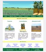 www.goldmenegua.com - Venta de semillas y colinos de calidad somos exportadores oportunidad para inversionistas