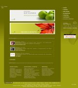 www.inkieto.com - Diseño web gráfico flash consultoría y publicidad