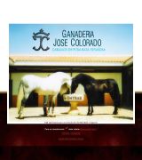 www.josecolorado.com - Ganadería de caballos de pura raza española que siempre ha sobresalido del resto en multitud de competiciones cría venta y doma de caballos mejores