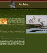 www.juanzubieta.com - Portafolio del pintor juan zubieta ilustraciones de aves y naturaleza