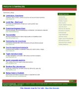 www.lamina.biz - Empresa especializada en diseño y mantenimiento de páginas web siendo líderes en flash y con diseños personalizados a cada clienteubicada en madri