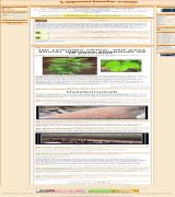 www.lapsoriasis.com - Comunidad online para enfermos de psoriasis foros chat información fotografias disponibles para nuestros usuarios