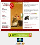 www.mainecoondecampos.com - Tenemos camadas durante todo el año conoce nuestros machos y hembras pedigree de campeones