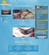 www.marulo.com - Portal social de animales y mascotas donde podrás publicar fotos de tus mascotas historias noticias vídeos y todo lo que quieras acerca de animales 