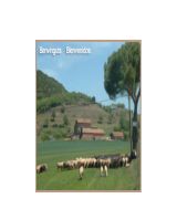 www.mascasanova.net - Casa rural situada entre la comarca de osona y la del moianes dentro de una explatación agricola teléfono 616 50 35 20