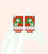 www.masue.com - Esta asociación reúne a los entusiastas de diferentes deportes y organiza torneos de fútbol.
