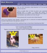 www.modamascotas.com - Todo para las mascotas ropa vestidos camisetas chalecos etc para perros y gatos modernos