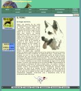 www.mtperro.com - Todo sobre el perro razas enfermedades nutrición y adiestramiento