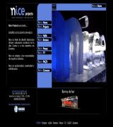 www.nice-projects.com - Nos didicamos a realizar proyectos y montajes de hielo platos copas y barras de bar de hielo todo a medida sin utilizar moldes según las exhigencias 