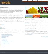 www.nivoria.com - Agencia online surge con la misión de elaborar y ejecutar un plan de acción online para que los clientes consigan los objetivos comerciales marcados