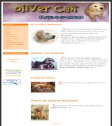 www.olivercan.com.ar - Sitio dedicado a oliver un simpático golden retriever