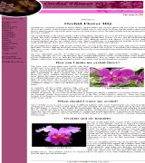 www.orchidflowerhq.com - La central de la orquídea se dedica a proveer la mejor información en línea sobre cómo cuidar orquídeas aprenda hoy cómo cuidar fertilizar regar