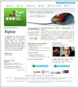 www.pagoporclicmexico.com - Manejo de campañas de pago por clic y optimización para motores de búsqueda servicios de internet para el mercadeo en línea y comercio electrónic