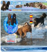 www.perrosdeagua.com - Perros de agua del rabadán cría y selección del perro de agua español pdae selección de cachorros y camadas de todos los colores criadero del pda