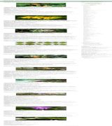 plantamedicinales.net - Enciclopedia completa de platas medicinales afecciones y su tratamiento por medio de las plantas