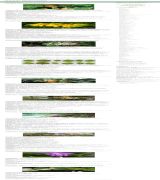 plantamedicinales.net - Enciclopedia completa de platas medicinales afecciones y su tratamiento por medio de las plantas