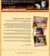 www.principadosicilias.com - Cría de yorkshire y chihuahua para exposición y compañía venta de cachorros y servicio de montas