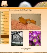 www.suculentas.com - Una completa guia sobre el apasionante mundo de las plantas suculentas