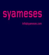 www.syameses.com - Consultores de marketing y diseñadores web posicionamiento y su agencia de publicidad