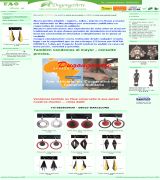 www.tao-e.com - Especialista en productos étnicos de àfrica y asia máscaras tapices tallas en madera batiks incienso y joyería en plata