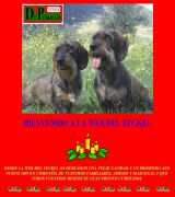 www.teckels.es - Todo lo referente a la raza teckel mira las fotos cachorros legislación standard de la raza el teckel en la caza anécdotas y todo el material didác
