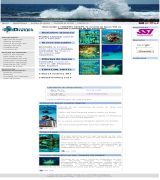 www.tenerifedivers.es - Escuela ssi cursos de todos los niveles excursiones desde costa y embarcación a las mejores inmersiones de la isla