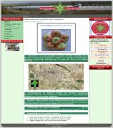 www.tomatesconsabor.com - Página web donde se pueden comprar online los tomates más sabrosos te los llevamos a tu casa puedes visitar además nuestra sección de recetas para