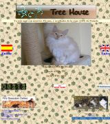 www.treehousecattery.es - Criadero pequeño y familiar de gatos bosque de noruega