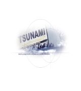 www.tsunami-sp.com - Tsunami sail projects realiza el transporte de su embarcación adesde cualquier lugar del mundo