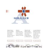 www.tuercas.net - Soraluce hermanos fabricante de tuercas casquillos y elementos de fijación especializados en la industria de automoción soraluce fabrica tuercas cas